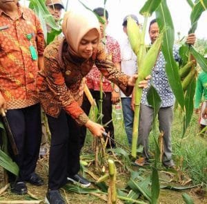 IMG-20200918-WA0046~2