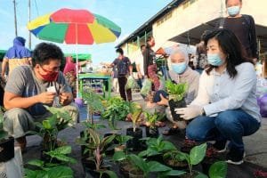 IMG-20201029-WA0046 IMG-20201029-WA0046