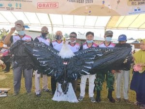 FB_IMG_1605414918610