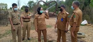 FB_IMG_1611133014774