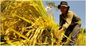 images – 2021-01-23T143941.245