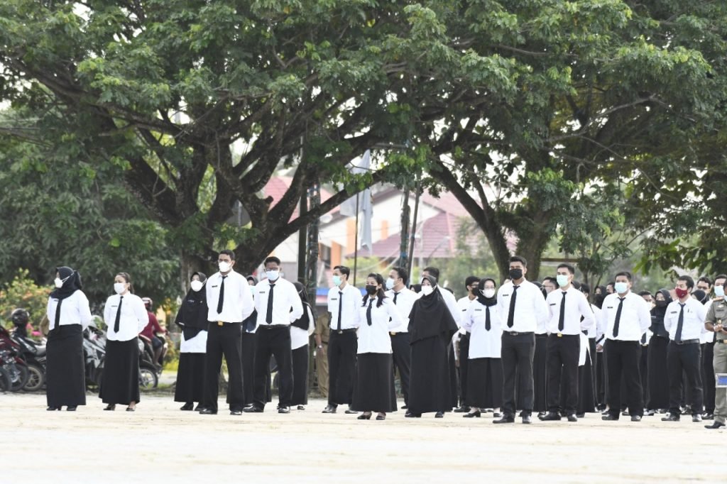 IMG-20210804-WA0013-1024x682 (1)