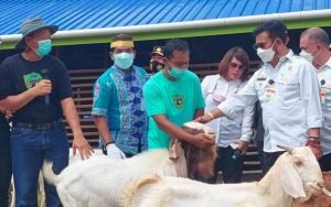 IMG-20210911-WA0001-1024x640