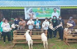 IMG-20210911-WA0003-1024×649