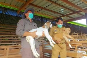 WhatsApp-Image-2021-09-01-at-14.57.36-1024x679