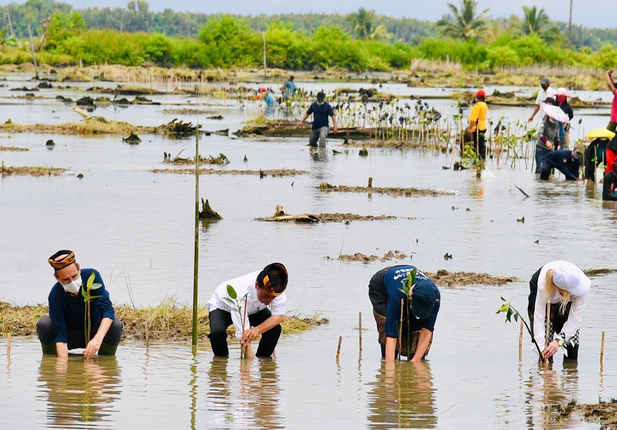 IMG-20211020-WA0077~2