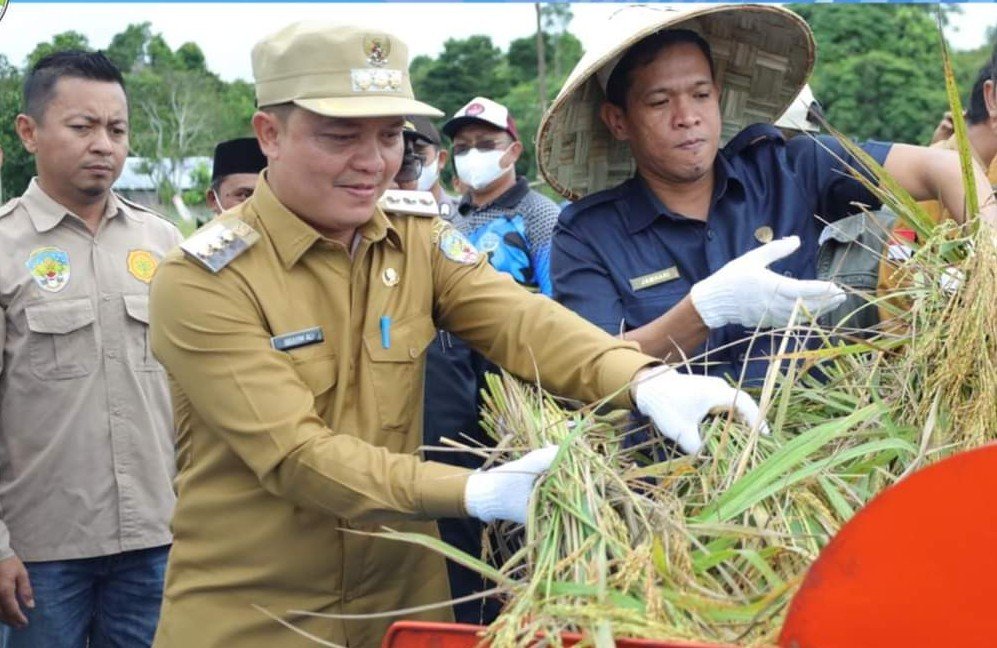 FB_IMG_1641304830097~2