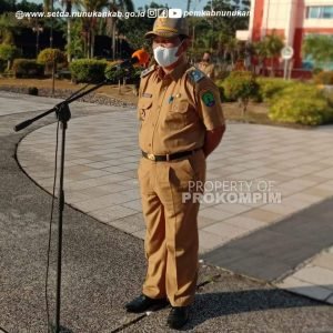 FB_IMG_1641815653049