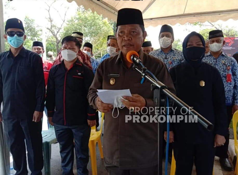 FB_IMG_1642509614308~2