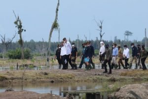 WhatsApp-Image-2022-01-31-at-14.34.51-1024x682