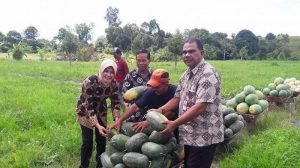 images – 2022-03-11T124850.157