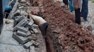 images - 2022-03-31T234444.823~2