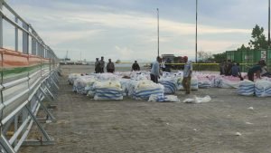 IMG202205071733461652006861038