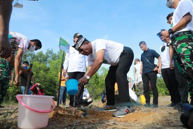 IMG-20220621-WA00591655805662072