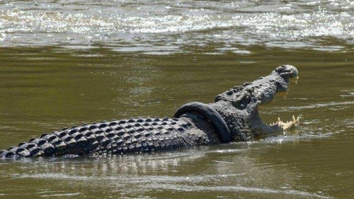 images - 2022-07-23T153942.034