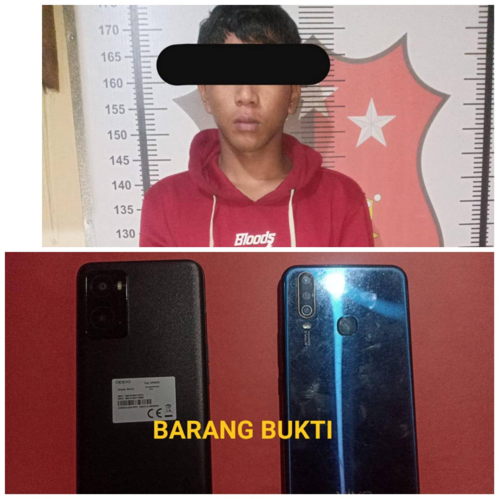 Polish_20221001_0733467611664580851651