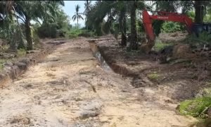 16758551269811675858502771