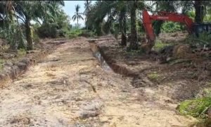 Screenshot_2023-02-08-10-52-37-56_965bbf4d18d205f782c6b8409c5773a4~2