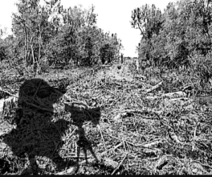 compressed-464-2023-02-15-14-05-36