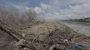 images - 2023-02-07T135442.194