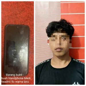 Polish_20230311_16212343616785229059371678522927701