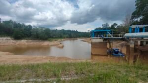 IMG202304281416511682698555491