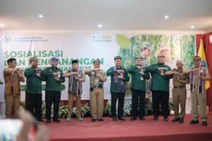 dddddddddddddd-1024x682