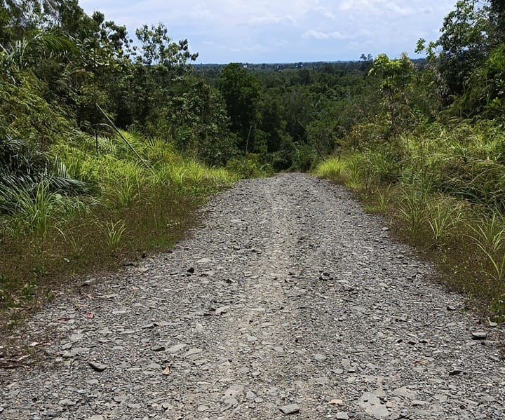 IMG-20240508-WA0160~2