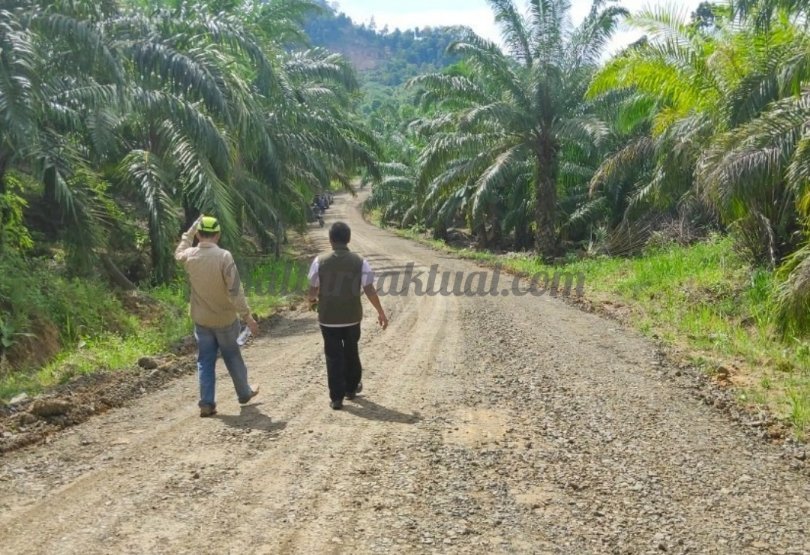 Polish_20240506_194358998_1714995986255