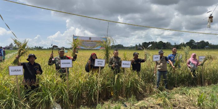 1729174168_IMG-20241017-WA0029_1729226565681