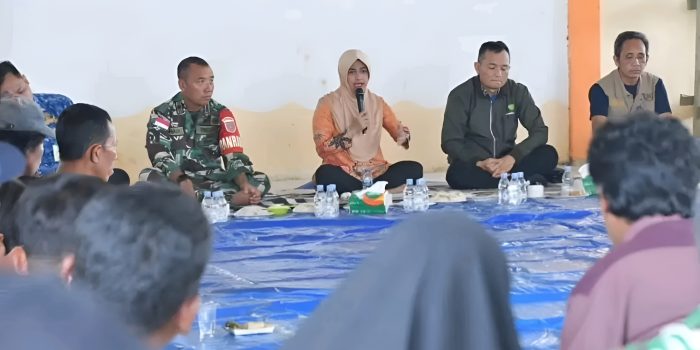 1729195268443_y16f1k_2_0