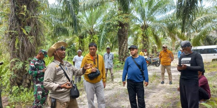 1729820630_d5b8c120-6e06-47ce-b3fb-7d6623067c95