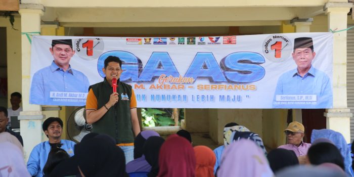 IMG-20241019-WA0317(1)