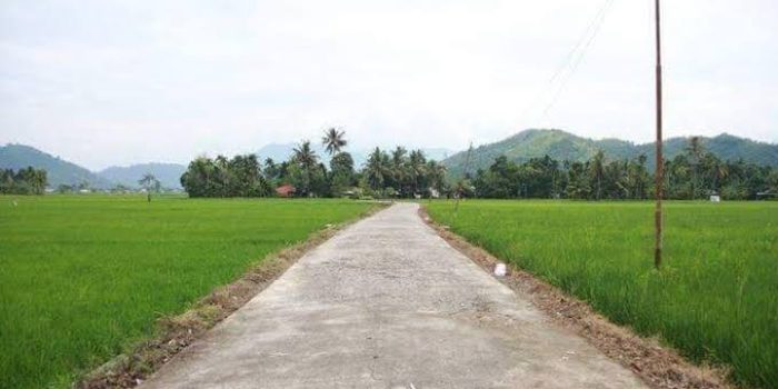 images - 2024-10-11T094641.550