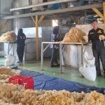 1736745190_Kunker Pinrang