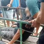 Polish_20250129_164010604