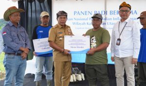 IKP06006_1739267296869