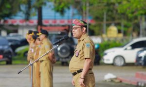 WhatsApp-Image-2025-02-03-at-09.16.13-1024x683