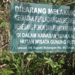 Screenshot_2025-07-15-17-12-39-04_40deb401b9ffe8e1df2f1cc5ba480b12~2