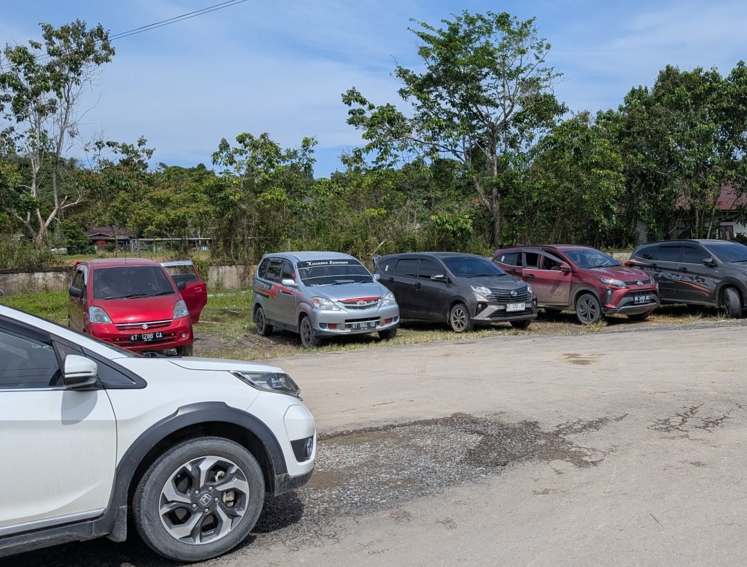 PXL_20260113_030234749.MP