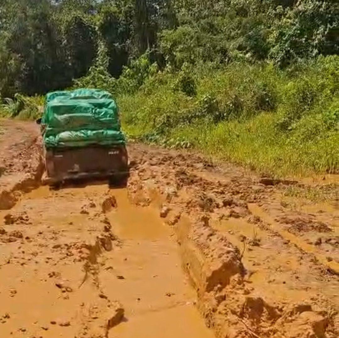 Screenshot_2026-03-23-00-33-12-18_6012fa4d4ddec268fc5c7112cbb265e7