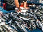 ilustrasi-ikan-rare.org_